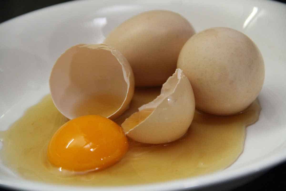 Thành phần dinh dưỡng của trứng gà
